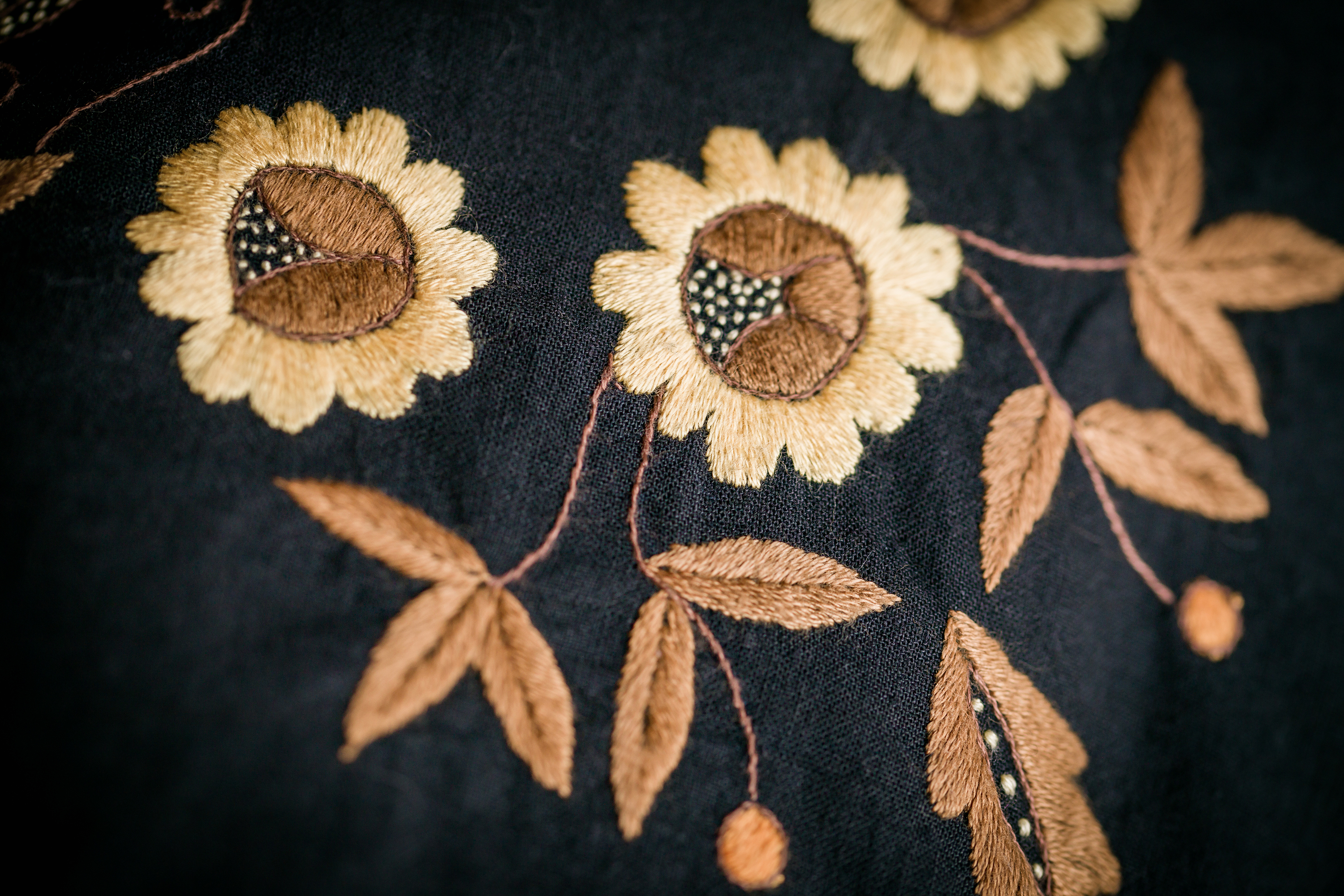 Close-up on the Kashubian embroidery.